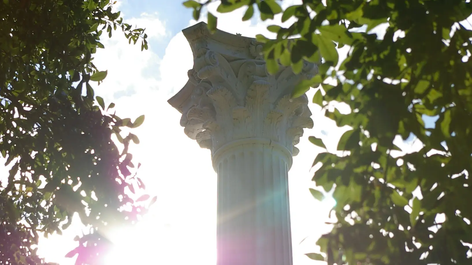 the top of a column with leaves framing the focus