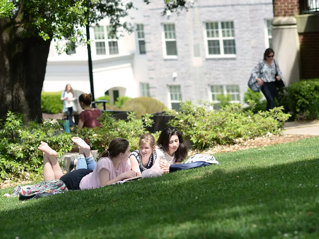 three students studying on the lawn