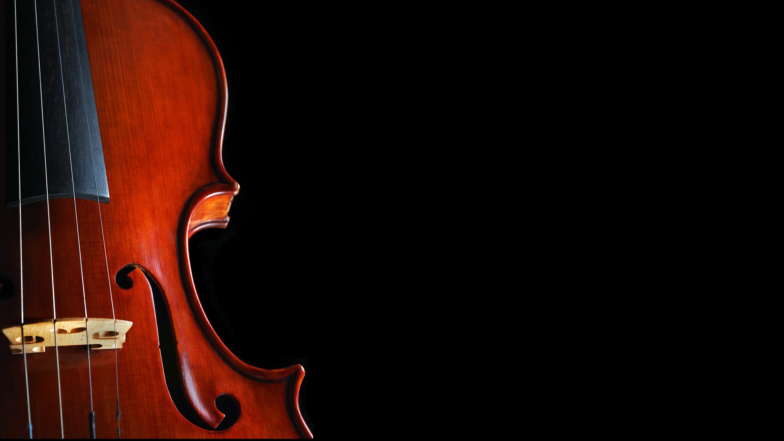 Music Department to Host 2026 All-State Strings Concert