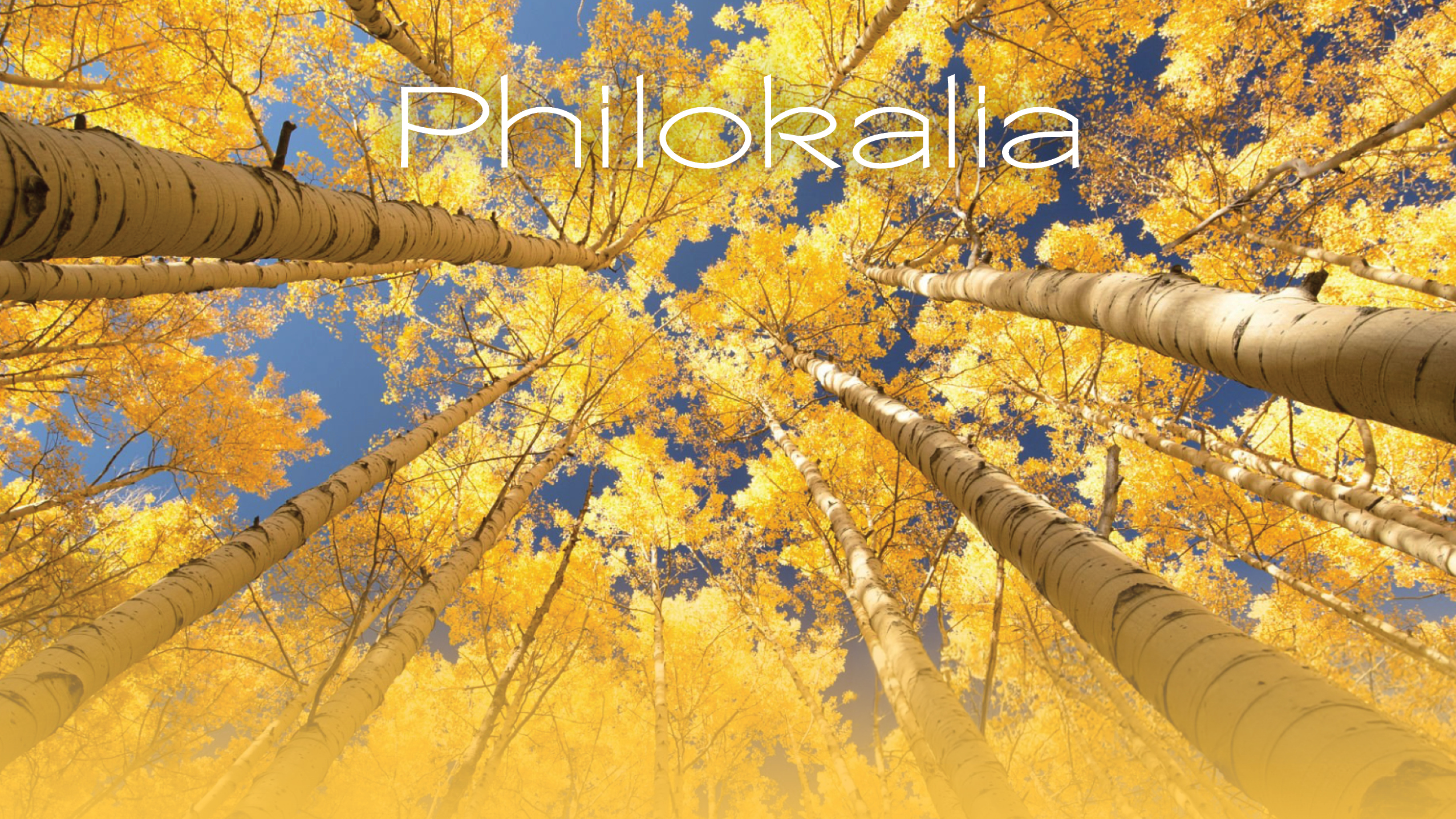 Philokalia Choral Event