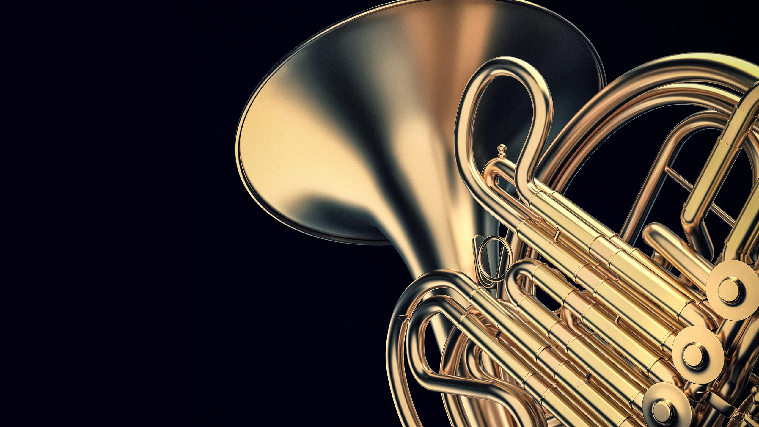 Belhaven Symphony Orchestra Presents a Night of Orchestral Masterworks